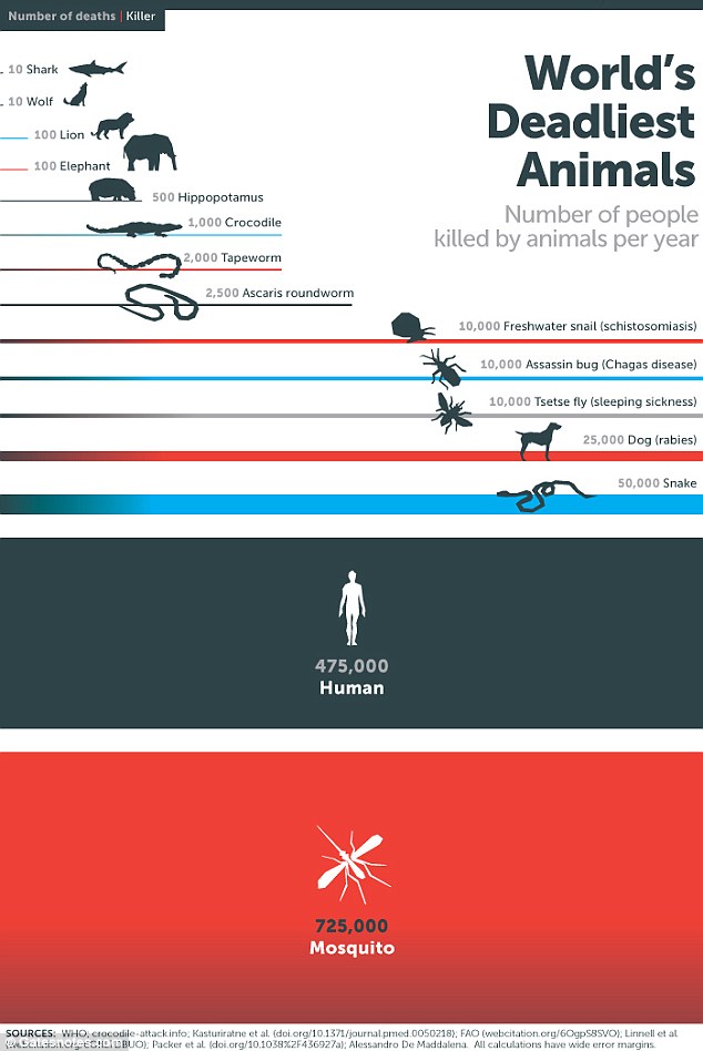 ¿Cuál es el animal más peligroso del mundo? 4