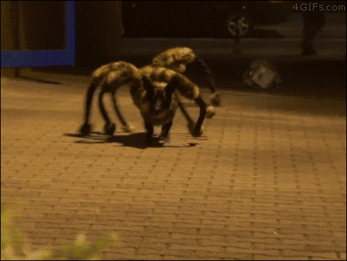Los 10 disfraces de Halloween que todo el mundo llevará hoy 34 Los 10 disfraces de Halloween que todo el mundo llevará hoy 9