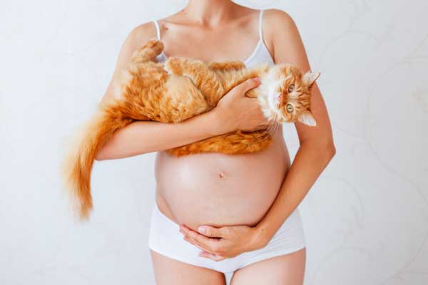 Las mujeres embarazadas que tienen mascota en su hogar tienen menos probabilidades de tener hijos con alergia y asma