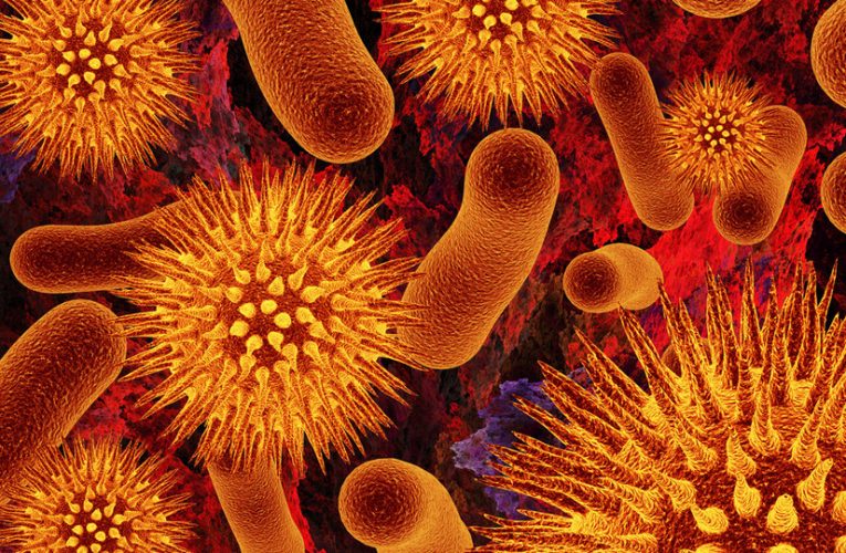 Nanopartículas como alternativa a los antibióticos